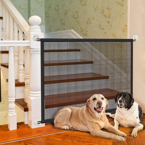Folding pet dog - folding,