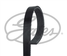 Gates 5PK1013 Drive Belt