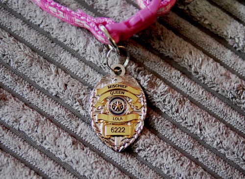 Engraved security style - security,