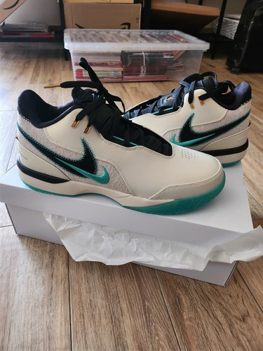 New nike zoom lebron next - new,