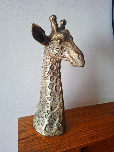 Giraffe animal jungle themed - giraffe,