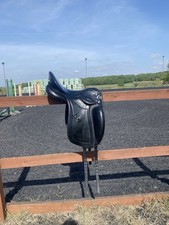 17” Kieffer Piet Dressage