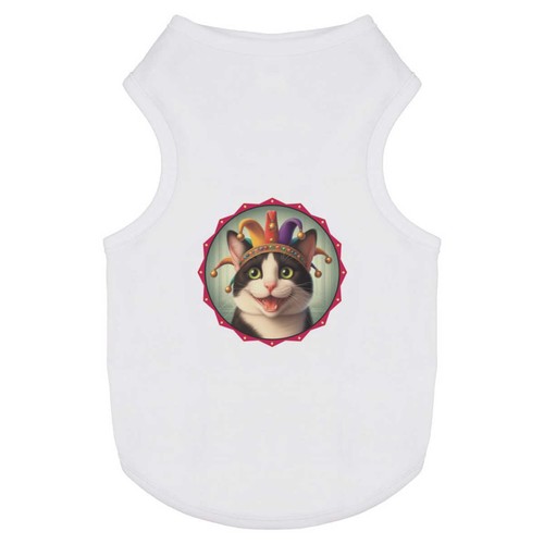 Tuxedo cat court - court, pet