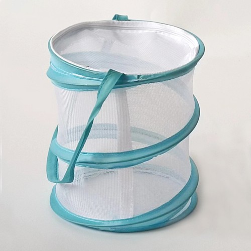 Butterfly net - butterfly,