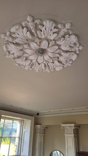 Plaster ceiling rose - ceiling, /