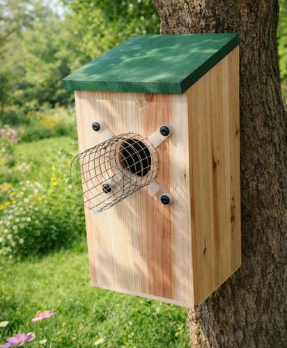 Bird box with - bird,