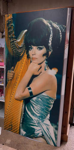 Xlarge joan collins - xlarge,