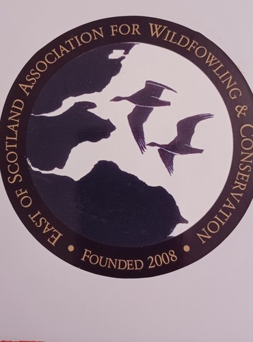 Esawc wildfowlers car window - wildfowlers,