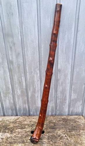 Irish blackthorn walking stick - irish,