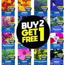 Flower Seeds Plants Borders