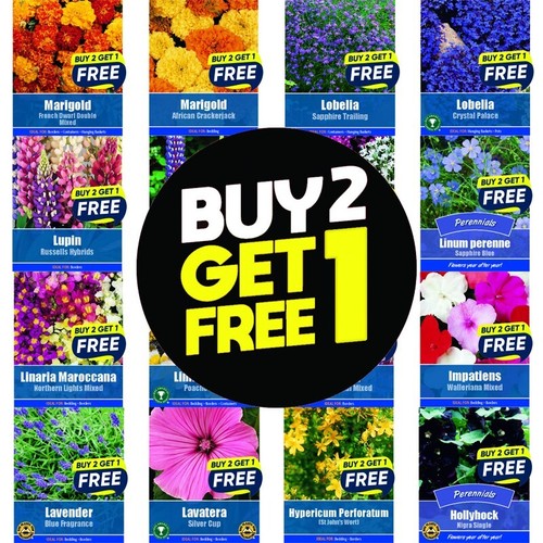 Flower seeds plants borders - seeds,