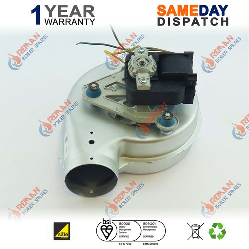 Baxi solo 30pf 40pf - 30pf,