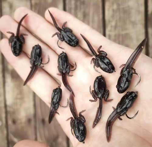 Tadpole fishing lures bait - fishing, 10