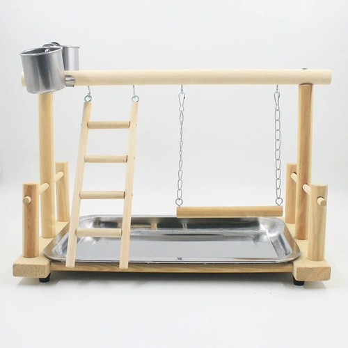 Parrots playground bird - playground,