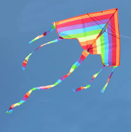 Easy fly colorful - fly, rainbow