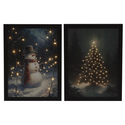 Set fibre optic canvas - of,