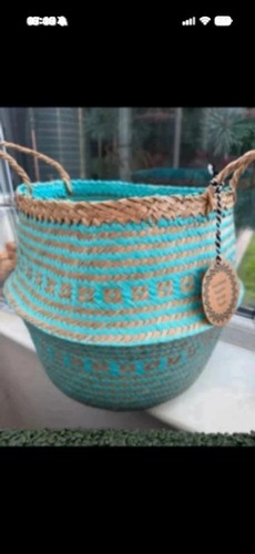 Seagrass and turquoise belly - and,