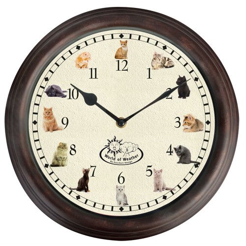 Cat sounds meow chime - sounds,