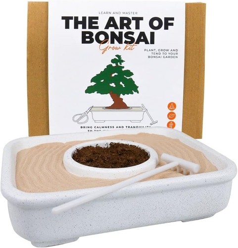 The art bonsai - -, grow