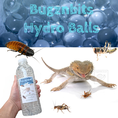 Bugznbits hydro balls - hydro, balls,