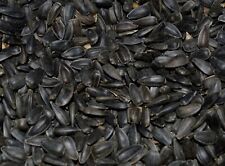 Premium Black Oil Sunflower Seeds Wild Bird Food High Energy Treat Feed Garden