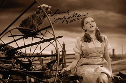 Judy garland signed - judy, autograph