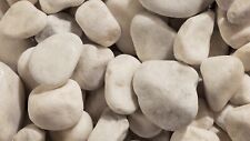 White Cobbles 60-120mm 20KG