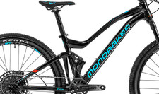 Frame Pivot Bearing Kit |