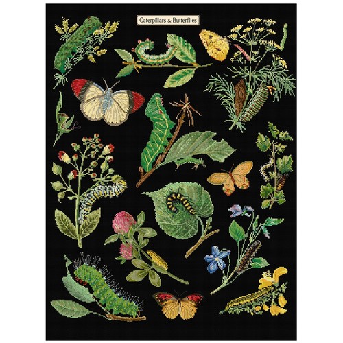 Thea gouverneur cross - thea, stitch