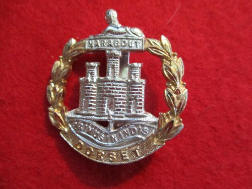 Dorset regt pre 1958 anodised - regt,