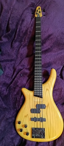 Bass collection andy - collection, sojka