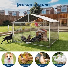 Outdoor Dog Kennel with Roof