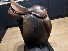 17” Wow Brown Dressage