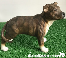 Brown Staffordshire Bull