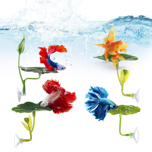 Pcs betta hammock - hammock, fish