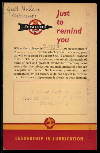 Shell tecalemit service - shell,
