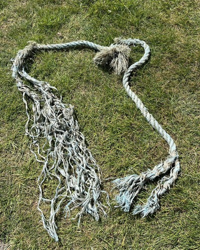 Beach find thick blue rope - find,
