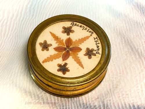 Pressed flowers round - pressed, gold