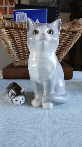 Just cats co staffordshire - cats,