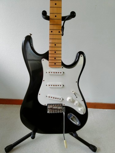 Holly stratocaster type - stratocaster, guitar
