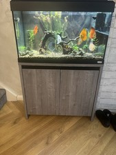 Fluval Roma 125L Fish Tank