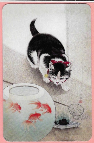 Cat and goldfish bowl - and,