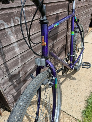 Raleigh ascender men - raleigh,