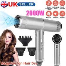 Professional 2000W Hair Dryer