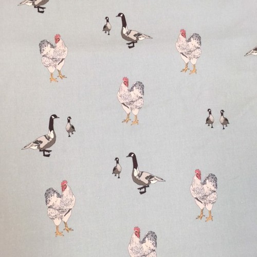 Chickens and geese duck - chickens, egg