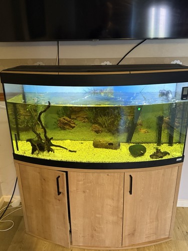 Fluval vicenza 260l - vicenza, aquarium
