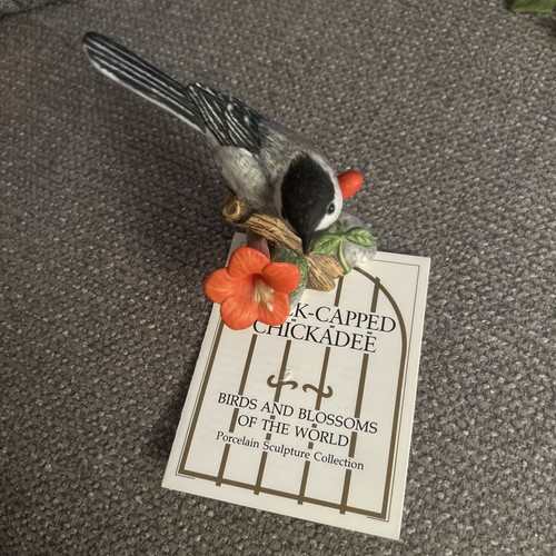 Vintage black capped - vintage, black-capped