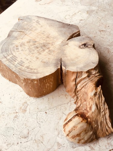 Spalted beech slab live - slab, waney