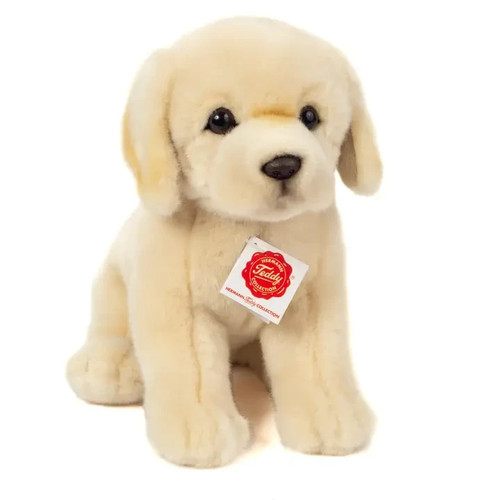 Golden retriever sitting cm - retriever,