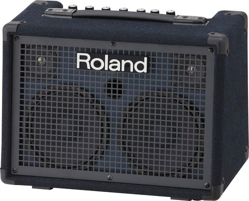 Roland 220 battery - roland, battery-powered